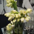 2009 02 17 020.JPG